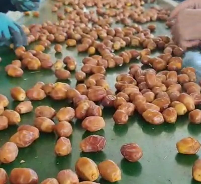 خرید خرمای زاهدی درجه یک