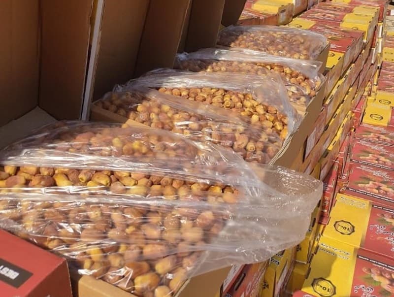 خرمای زاهدی صادراتی