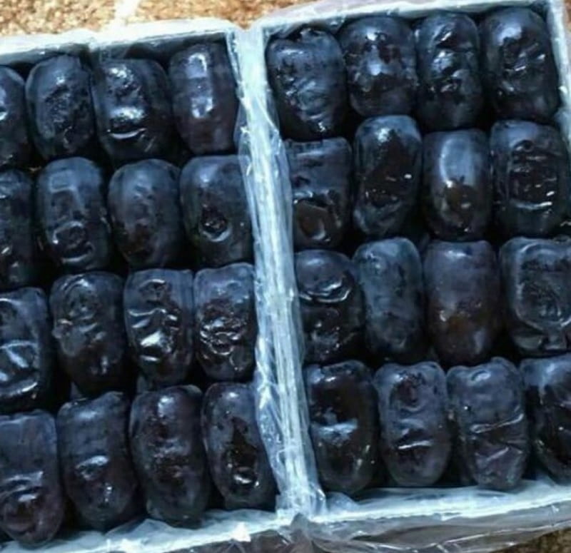 قیمت خرید عمده خرمای مضافتی بم