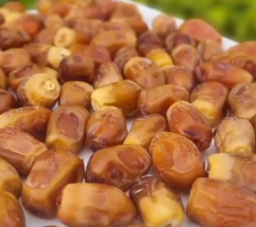 قیمت خرما زاهدی عمده صادراتی
