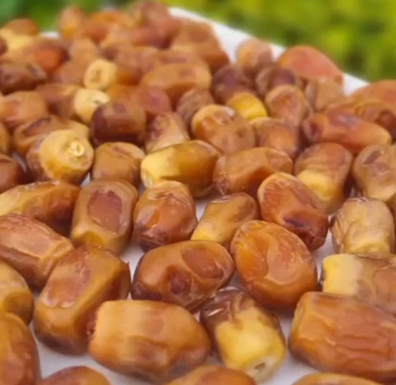 قیمت خرما زاهدی عمده صادراتی