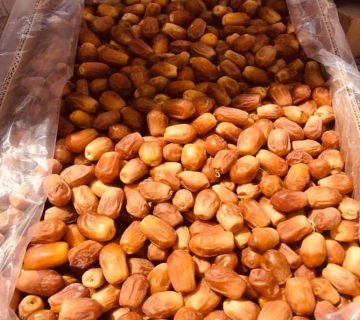 قیمت خرما زاهدی صادراتی