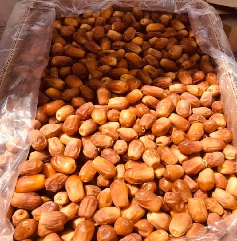 قیمت خرما زاهدی صادراتی