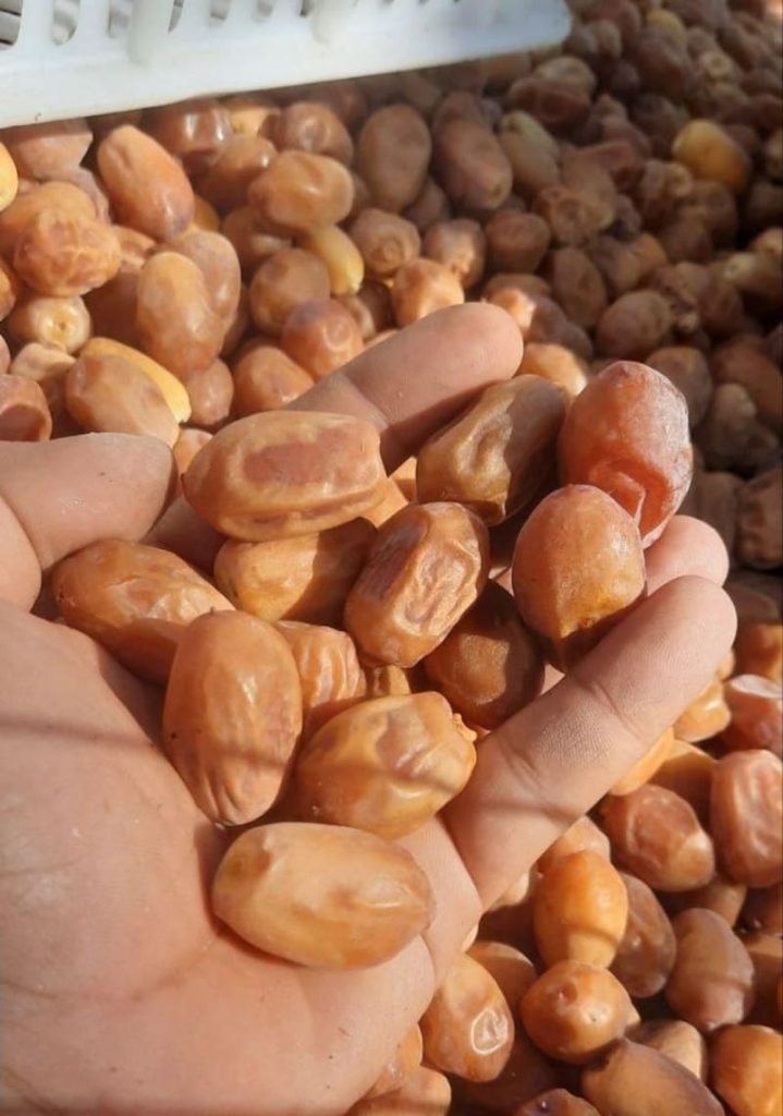 خرما زاهدی درجه یک صادراتی