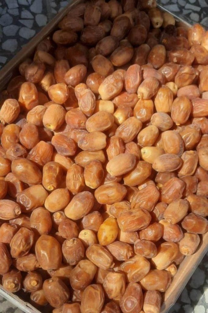 قیمت خرید خرما زاهدی عمده