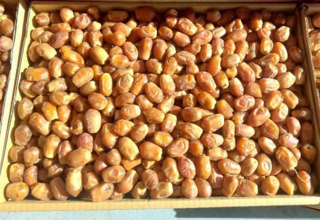 قیمت خرمای زاهدی صادراتی