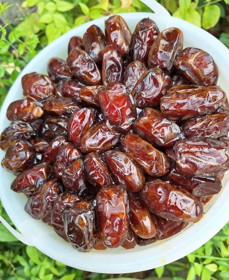 قیمت عمده خرما کبکاب سطلی