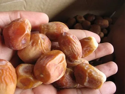 خرید خرمای زاهدی خشک + قیمت عالی با کیفیت تضمینی