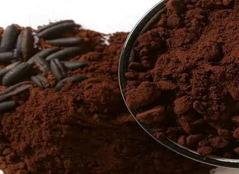 قیمت و خرید قهوه پودر هسته خرما + فروش ارزان