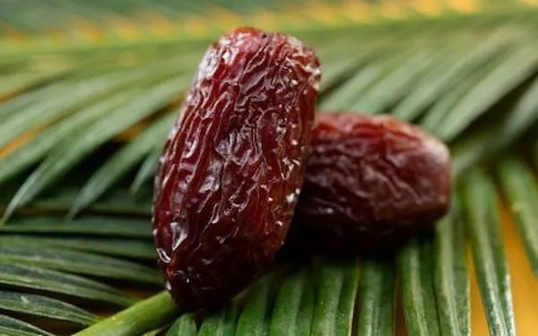 خرید قیمت خرمای پیارم صادراتی با قیمت استثنایی