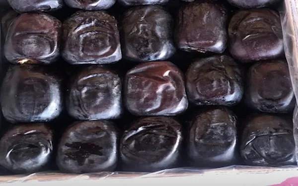 خرید عمده خرما مضافتی با قیمت استثنایی