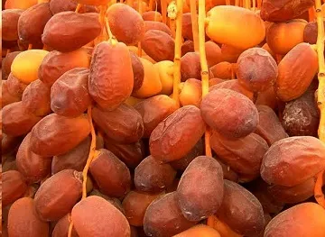 خرید خرمای زاهدی خشک + قیمت عالی با کیفیت تضمینی