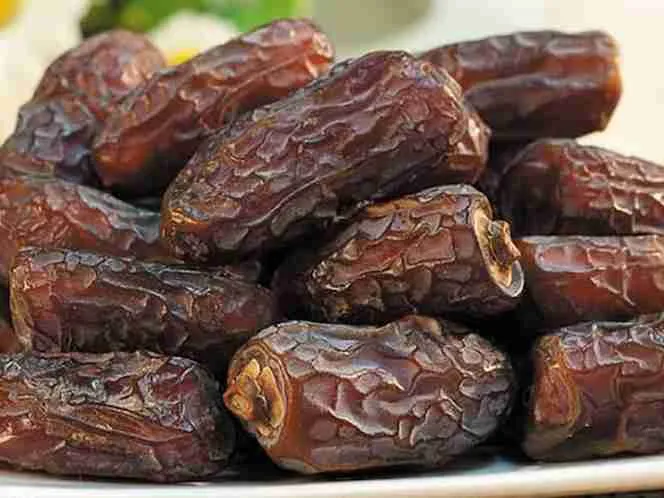 خرید انواع خرمای ربی سیستان + قیمت