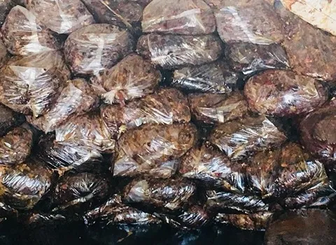 خرید و قیمت انواع خرما ضایعاتی اصفهان