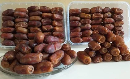 خرید خرمای صادراتی درجه یک با قیمت استثنایی