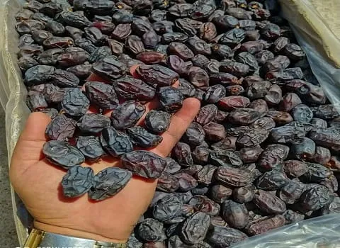 قیمت خرید خرما خنیزی دانه + تست کیفیت