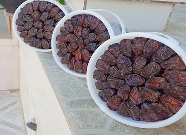 قیمت عمده خرما کبکاب سطلی + بهترین قیمت خرید