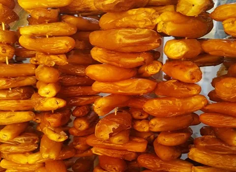 راهنمای خرید خرمای زرد جهرم + قیمت عالی