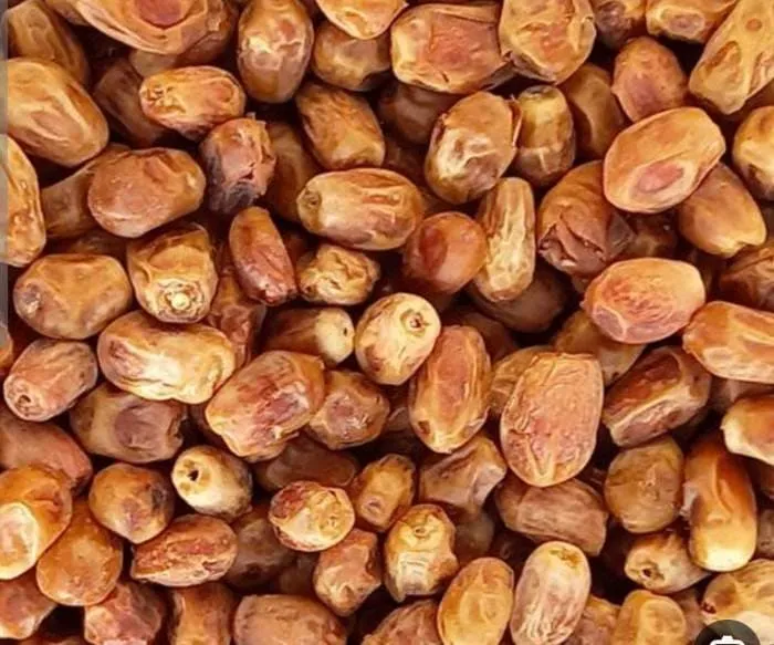 قیمت عمده خرما زاهدی | قیمت عالی