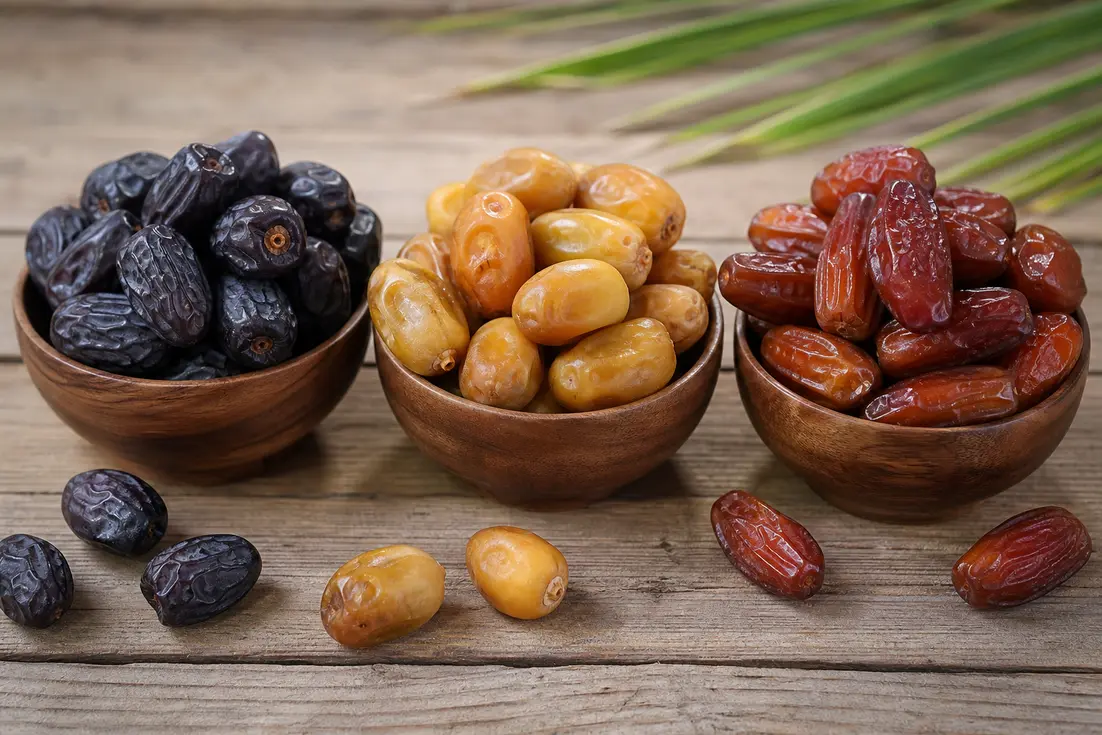خرما مضافتی مشکین در سنجش قیمت و ارزش خرید
